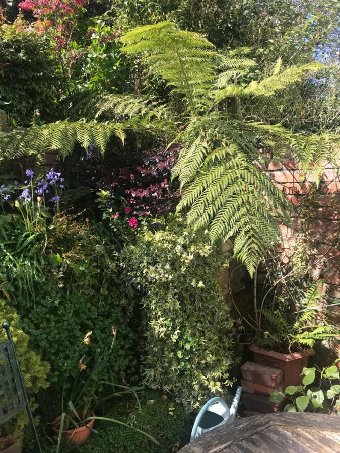 1920'S House. Private En Suite Sitting Room . Dog Friendly Teignmouth Buitenkant foto